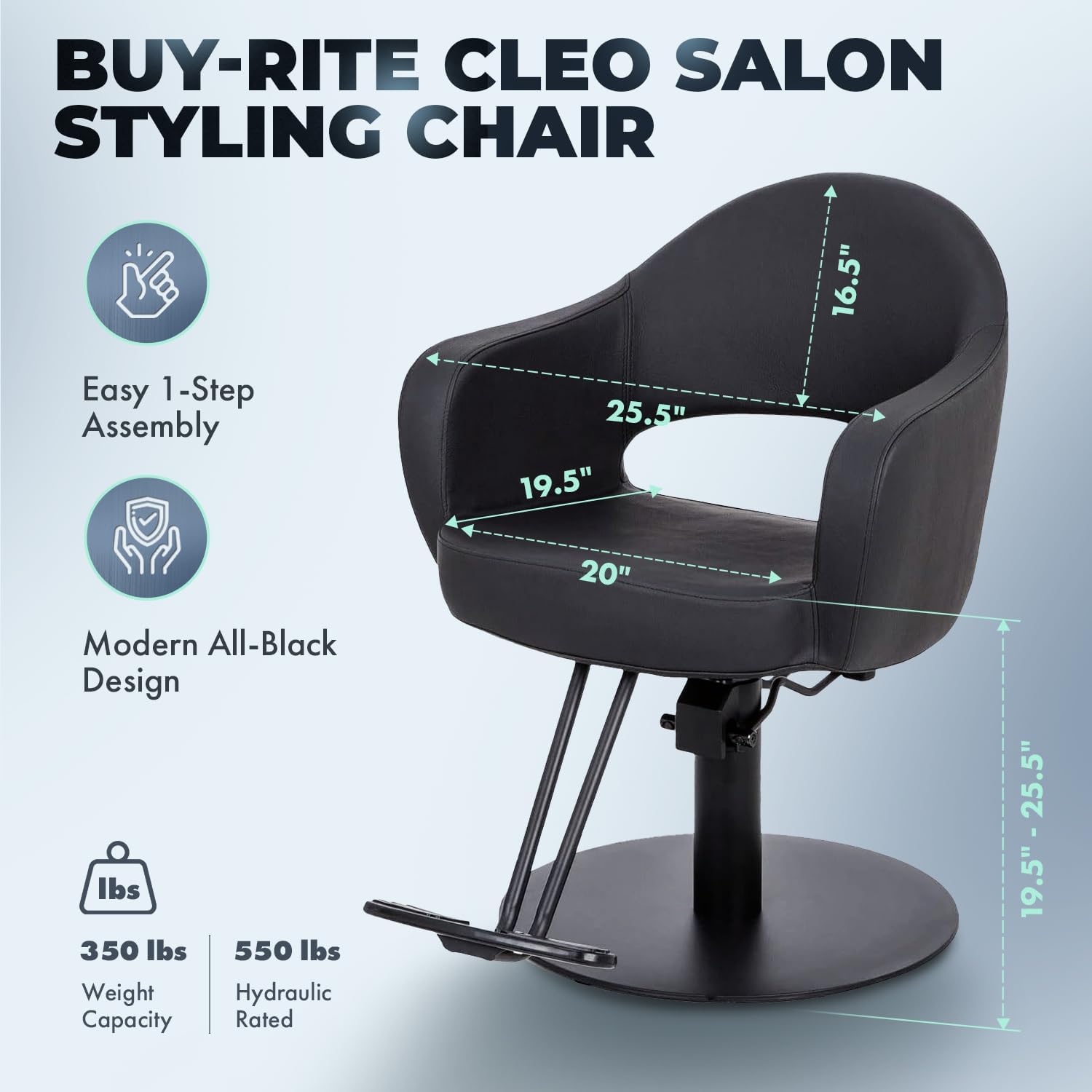 Buy-Rite Cleo Professional Salon Styling Chair & Barber Chair